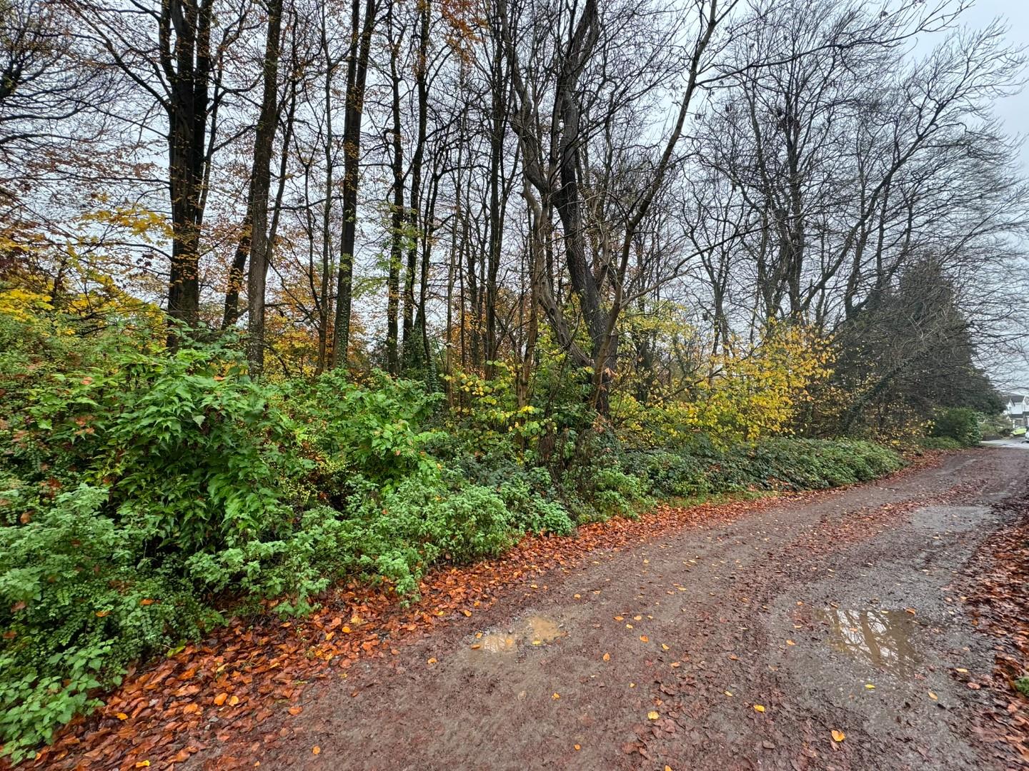 Approximately. 1.95 acres of Woodland Miskin, Pontyclun, CF72 8PE